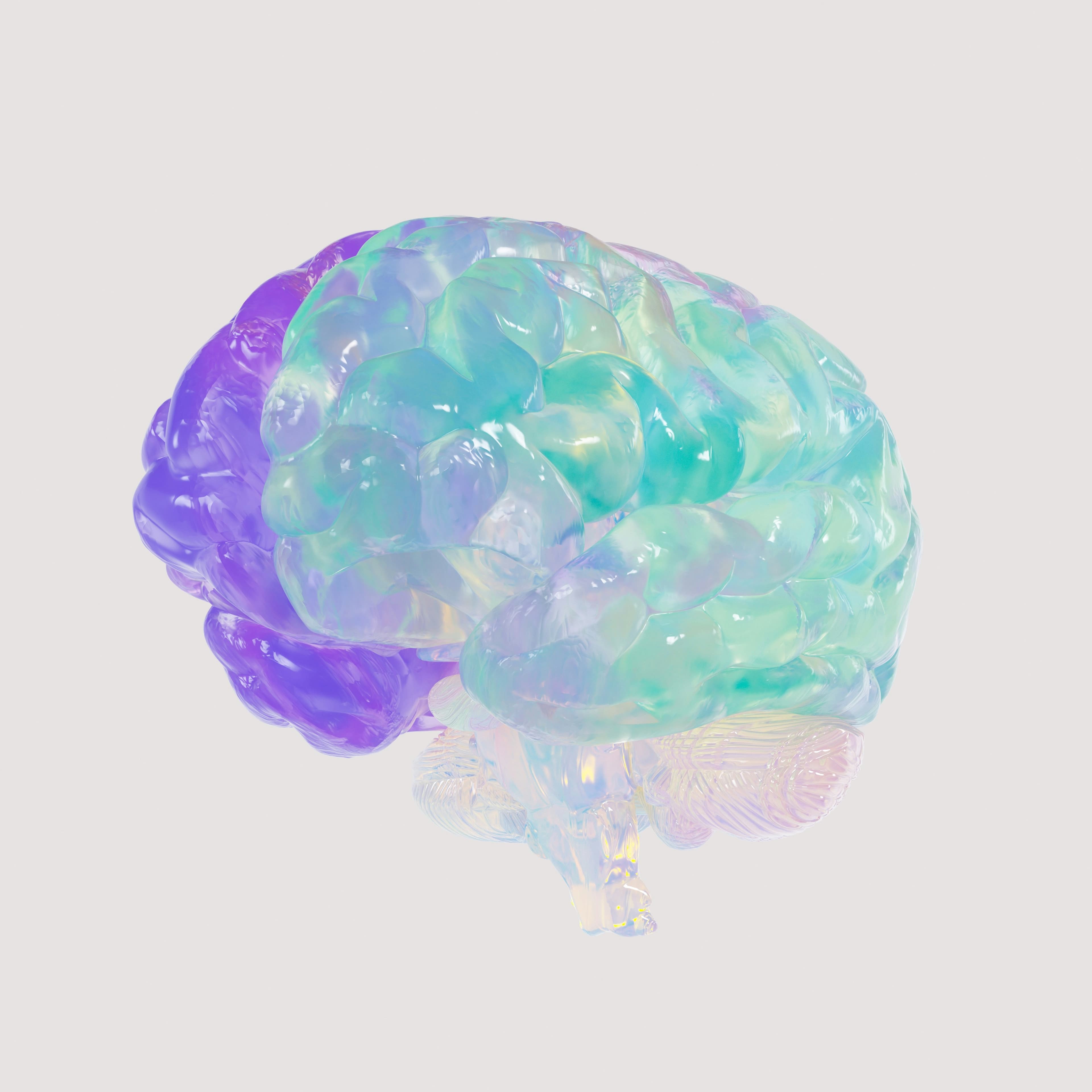 A translucent, iridescent model of a human brain in purple and green tones.